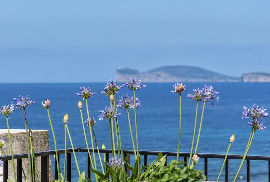 Appartement Attico Mir El Mar Con Spettacolare Terrazza Panoramica Vista Mare